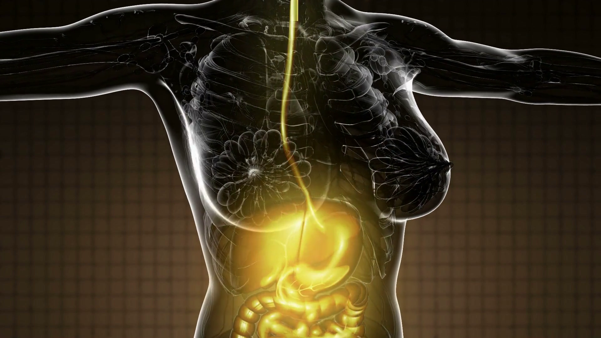 Small intestinal bacterial overgrowth