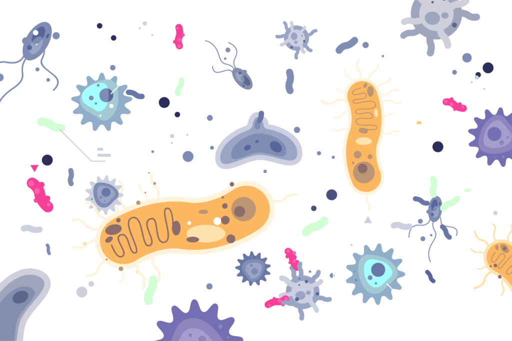 Gut bacteria