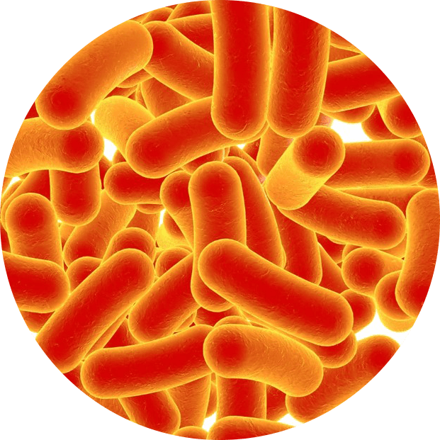 Pseudomonas_circle