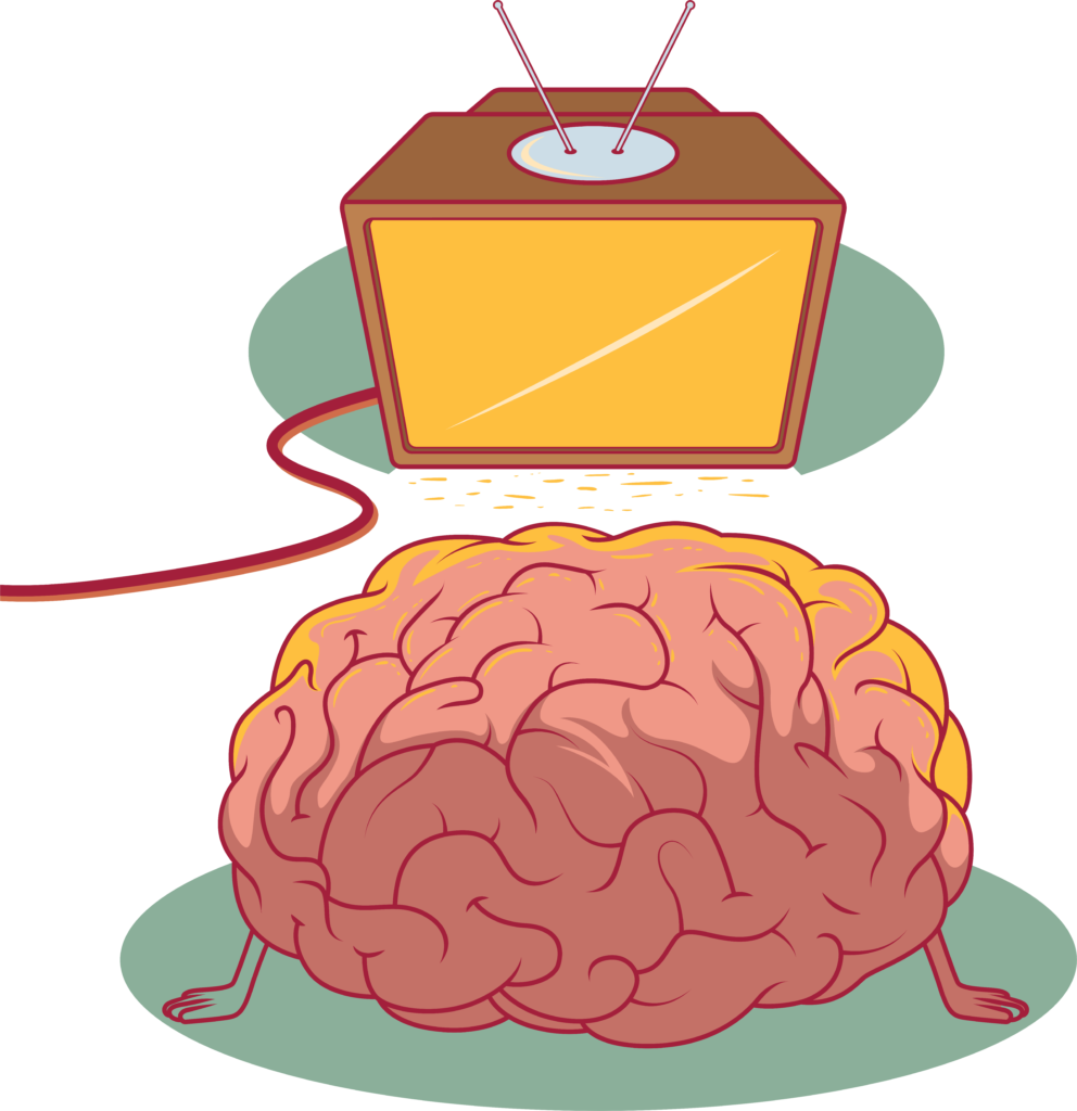 Brain exposed to television light