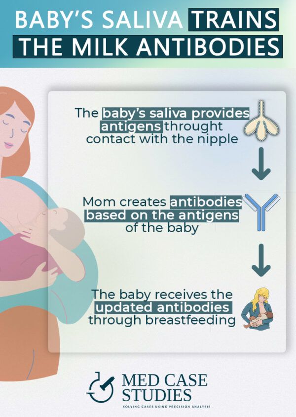 Breast milk and bacteria Upgrading the infant microbiome