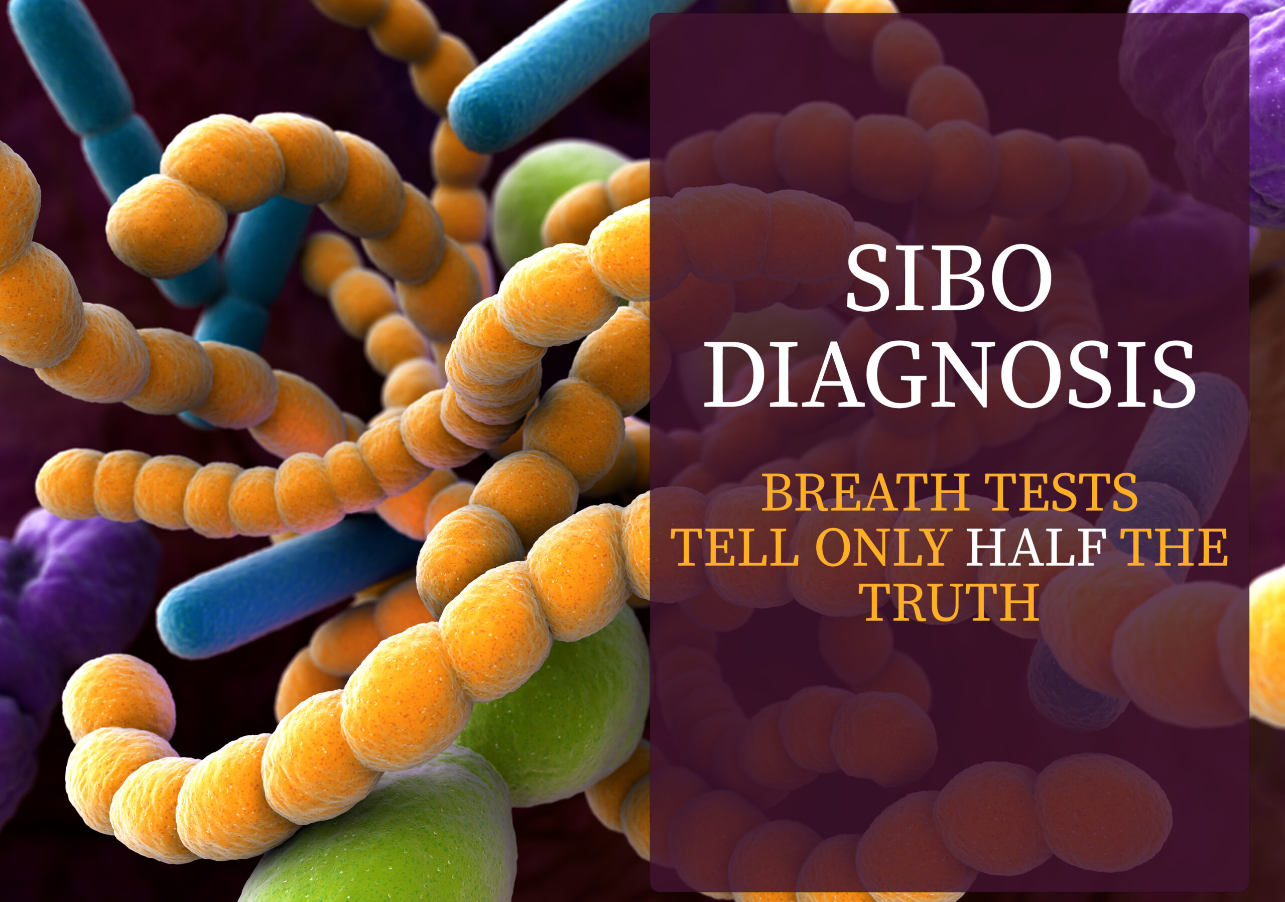 Why diagnosing the specific bacteria causing SIBO is so important ...