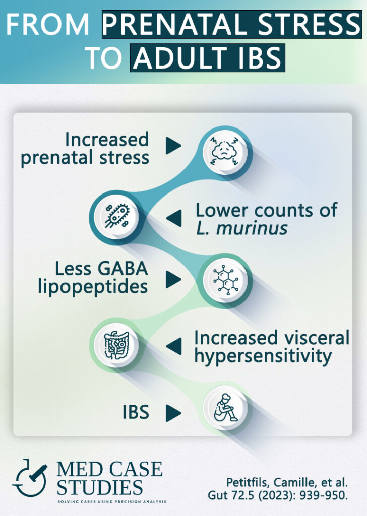 From prenatal stress to adult IBS