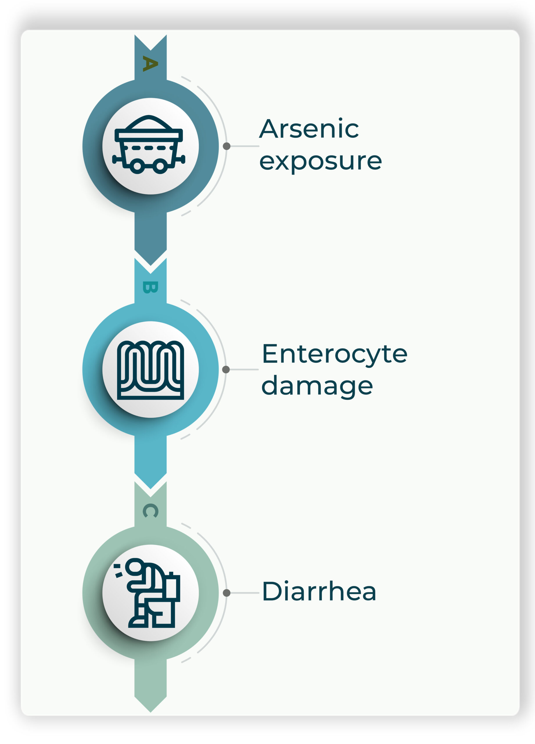 Intestinal disaccharidase deficiency and foodborne arsenic