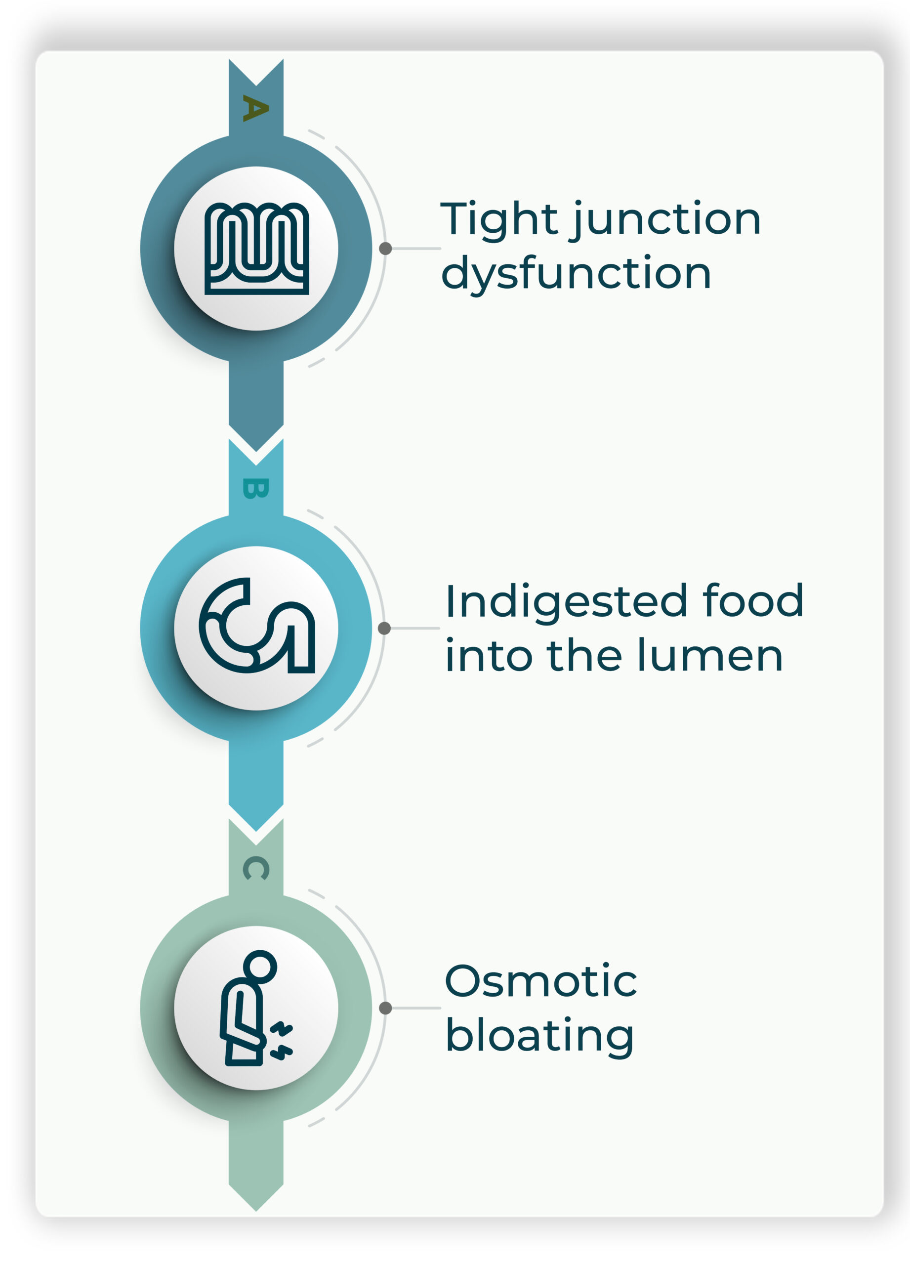 Intestinal disaccharidase deficiency and tight junctions dysfunction