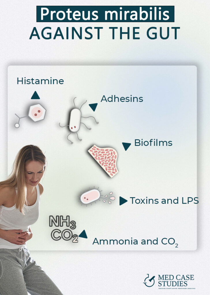 Proteus mirabilis in stool: gut effects—histamine, adhesins, biofilm, toxins/LPS, and ammonia/CO₂; woman holding abdomen.