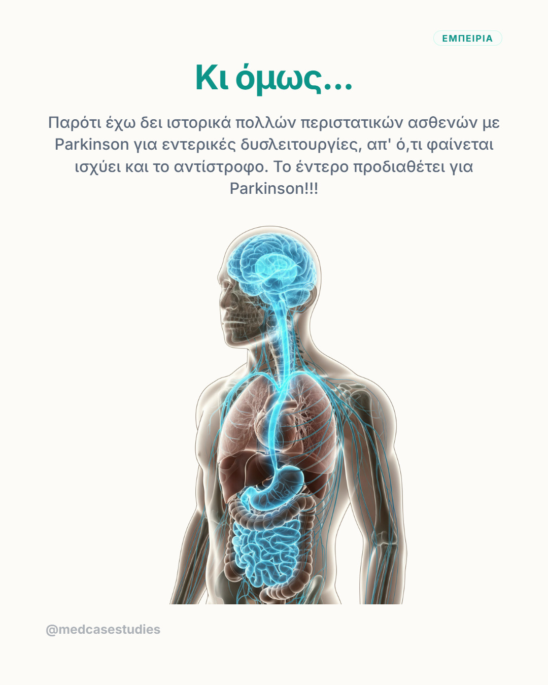 Ανατομική απεικόνιση ανθρώπινου σώματος με φωτισμένα εγκέφαλο, νευρικό σύστημα και έντερο.
