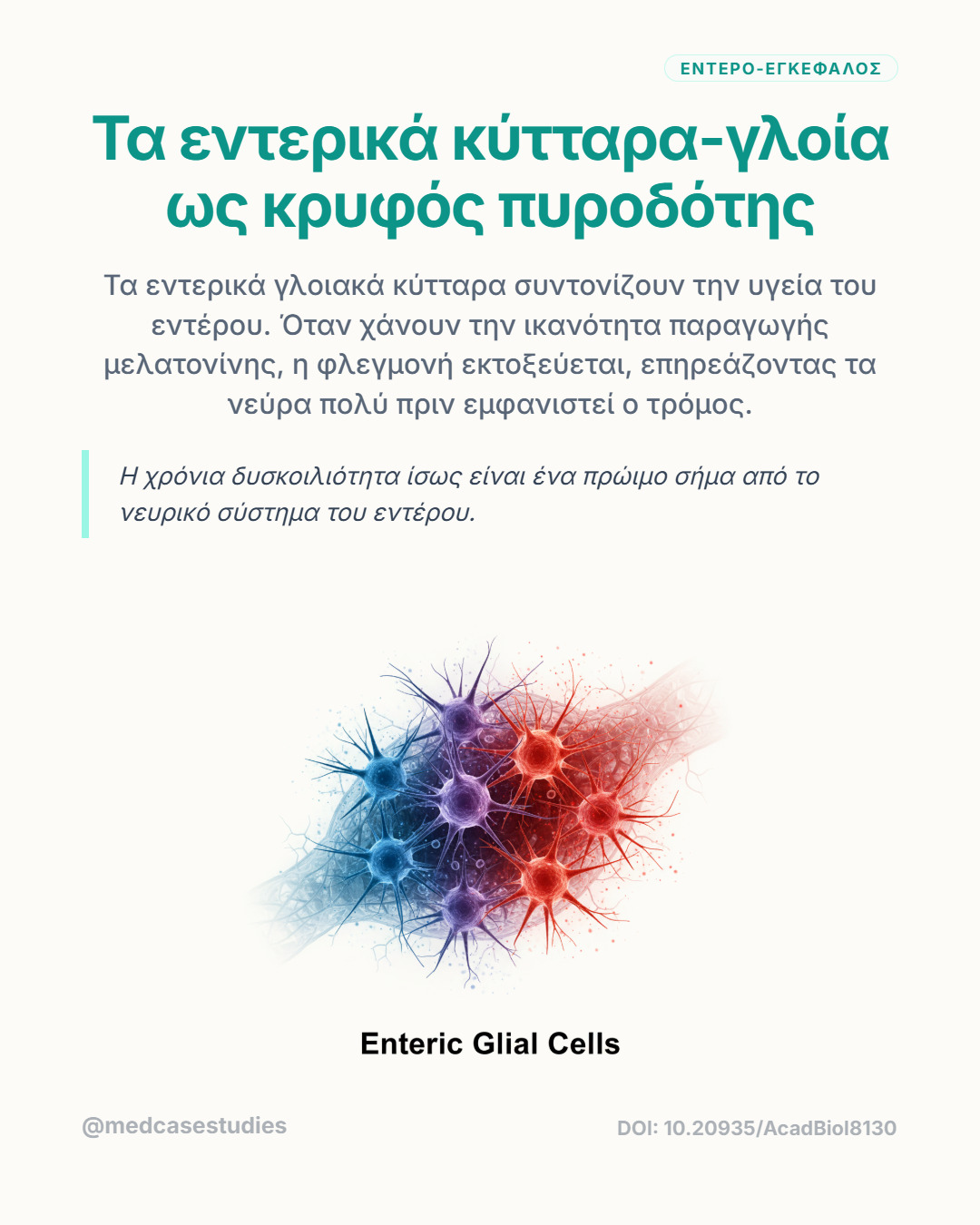 Πολύχρωμα νευρογλοιακά κύτταρα με διακλαδώσεις σε μπλε, μωβ και κόκκινες αποχρώσεις.