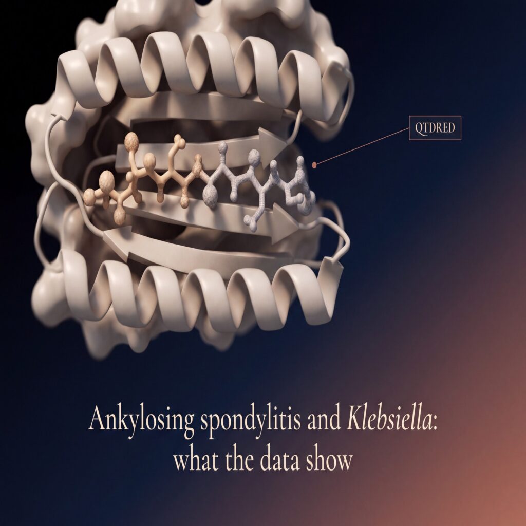 Ankylosing spondylitis and Klebsiella: extreme macro of a peptide docking inside the HLA-B27 binding groove