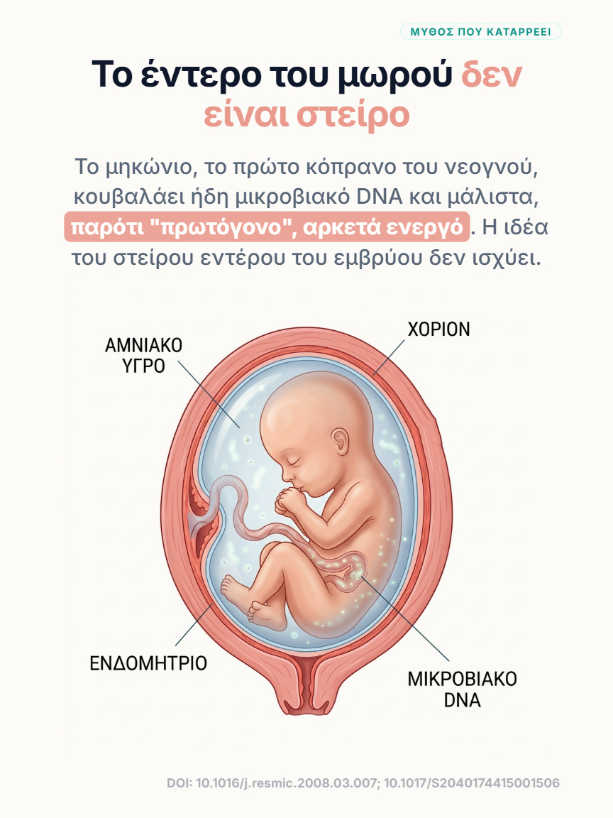 Ιατρική απεικόνιση εμβρύου στη μήτρα με επισημάνσεις για αμνιακό υγρό, χόριο, ενδομήτριο και μικροβιακό DNA.