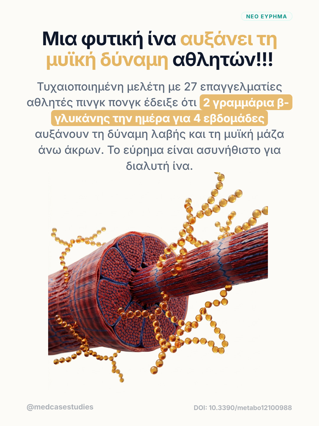 Απεικόνιση μυϊκής ίνας με χρυσές αλυσίδες μορίων β-γλυκάνης.