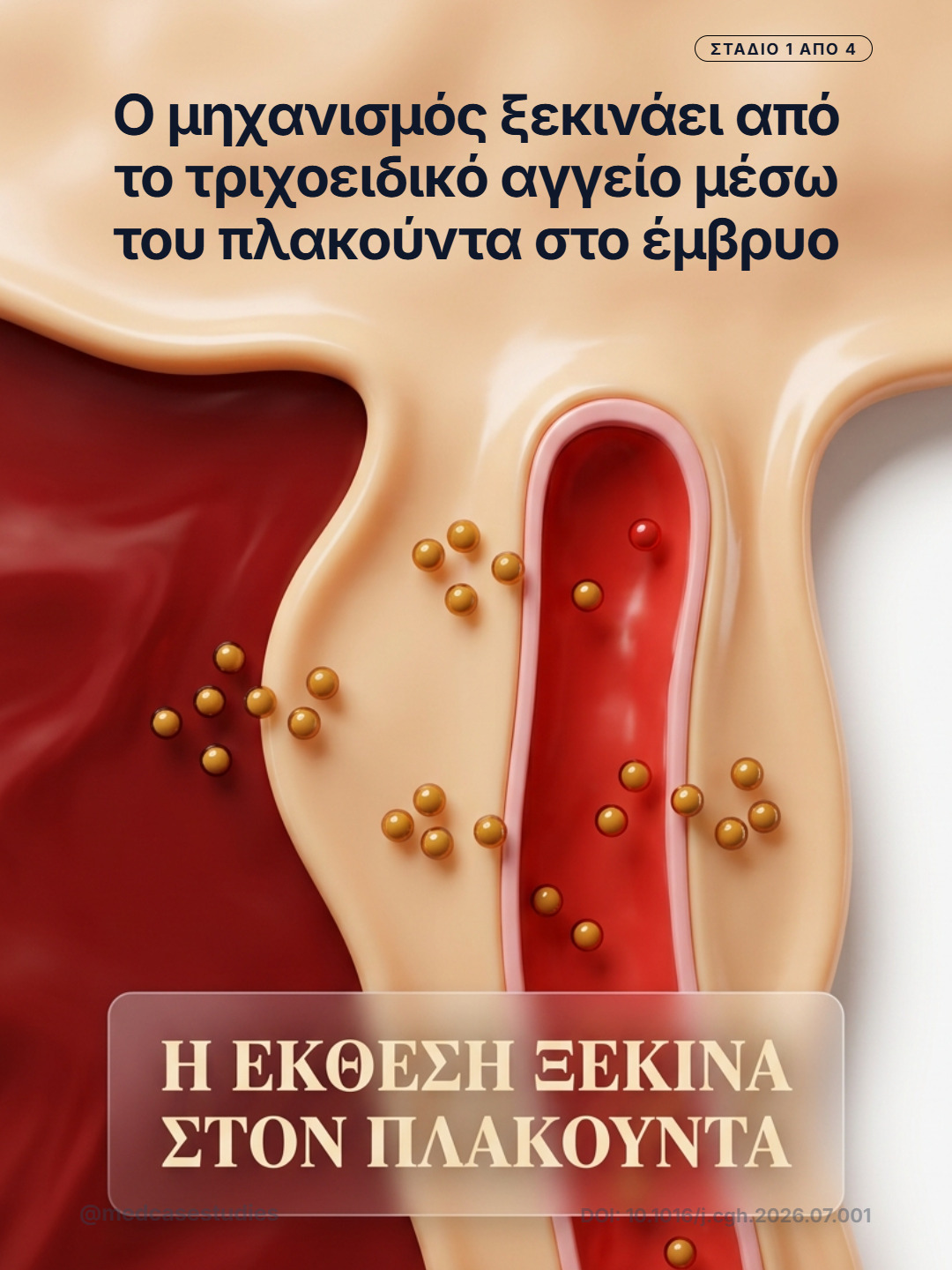 Τρισδιάστατη απεικόνιση πλακουντιακού ιστού και αγγείου με χρυσά σωματίδια που συμβολίζουν έκθεση σε PFAS.