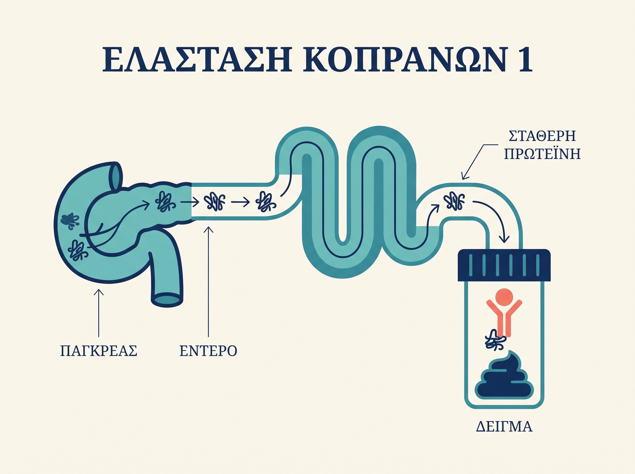 Μόριο παγκρεατικής ελαστάσης σε σχηματική εξέταση κοπράνων